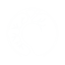 Logo Lupidi